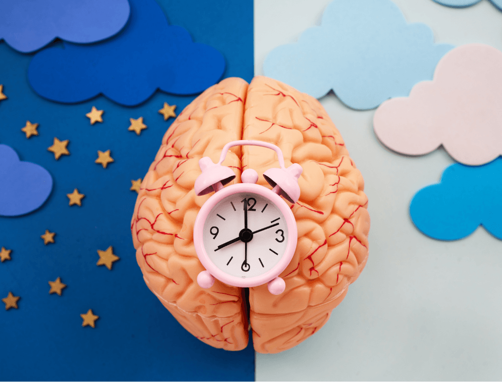 The circadian rhythm: what impact on our health?