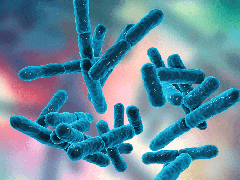 Probiotics: why and how to do a course of treatment?