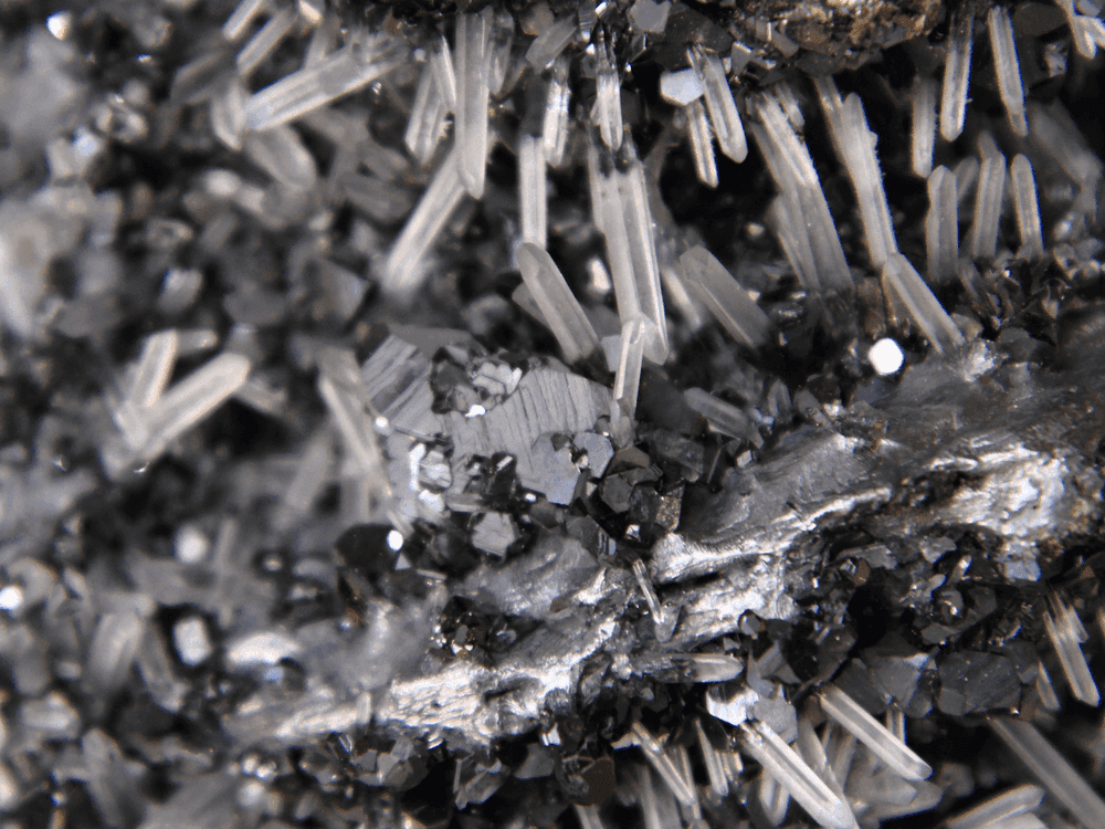 Detox and Heavy Metals